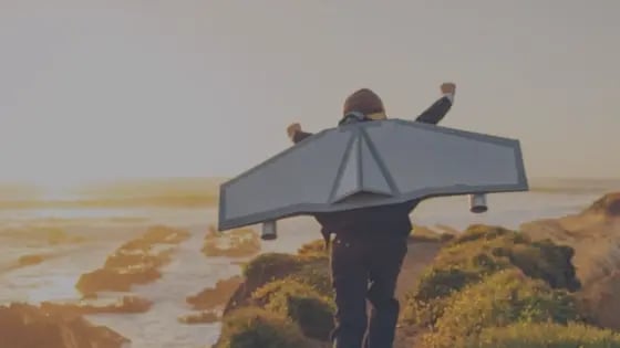 sales leadership